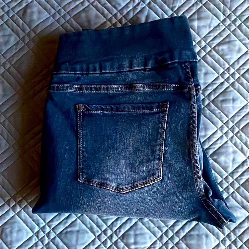 Time & Tru - Women's High Rise Blue Jeans  (P11)